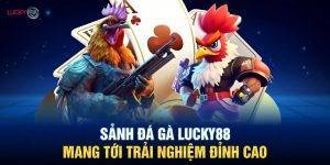 Cách Tham Gia Đá Gà Lucky88 Và Kinh Nghiệm Chiến Thắng